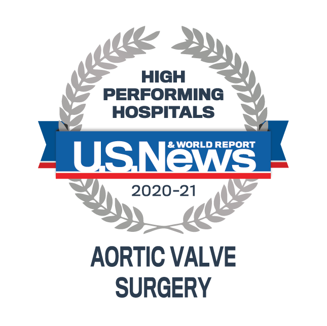 Aortic Valve