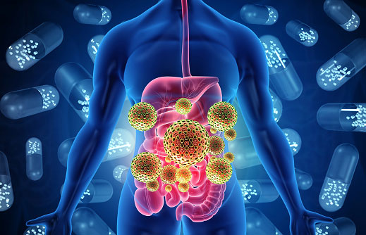 3D rendering of abdomen