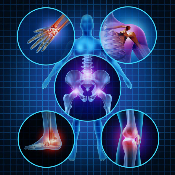 3D rendering of human joints