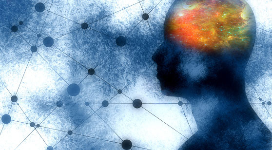 Artist rendering of the brain